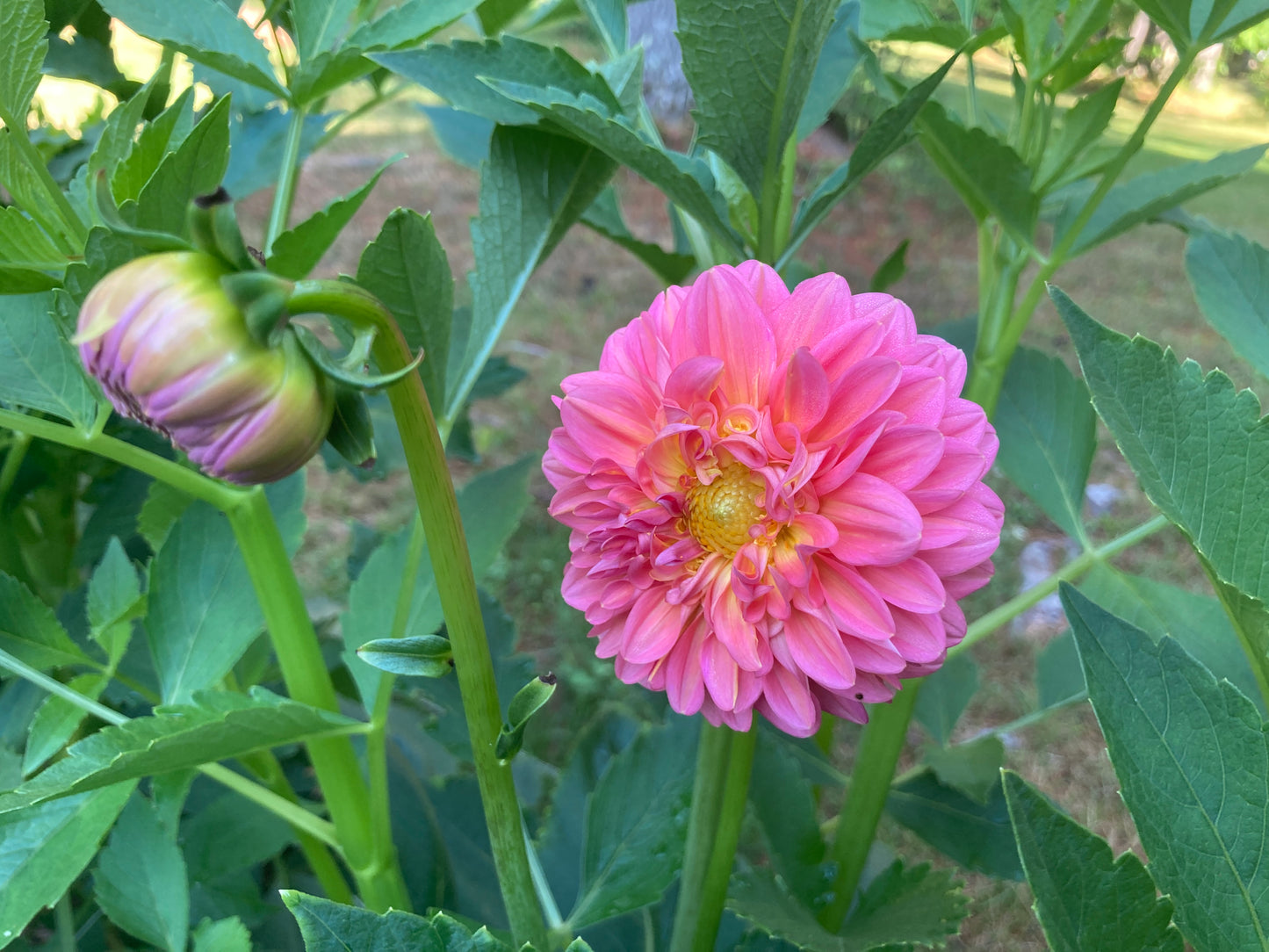 Great Silence - GTSNC