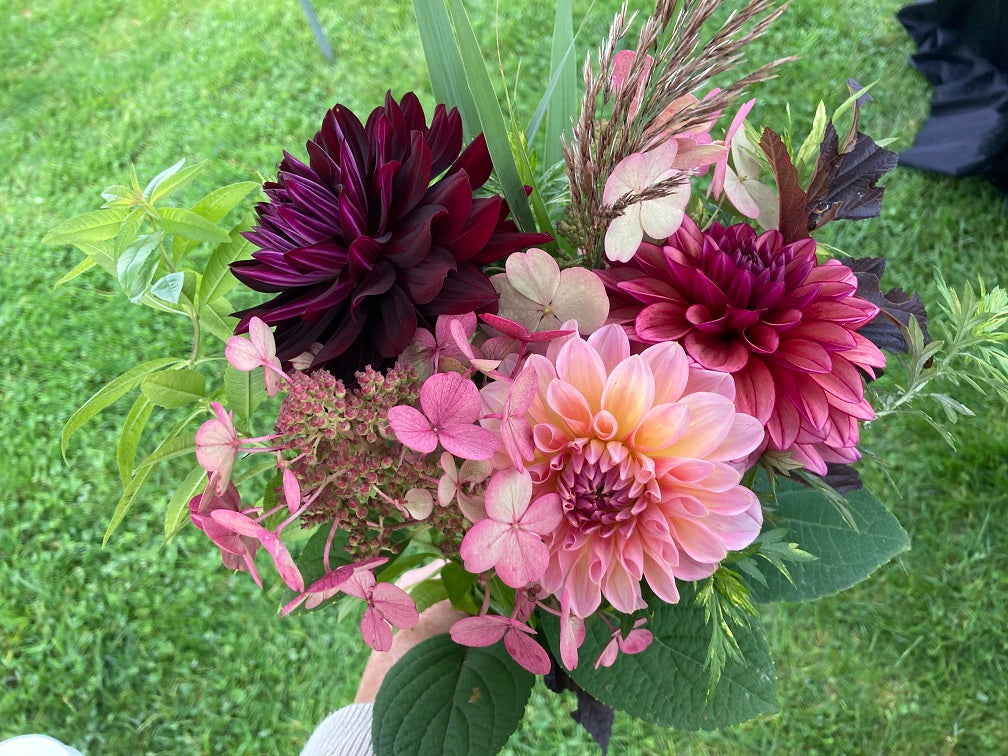 3 dahlia cut flower bouquet - vendor's choice color - unless specified