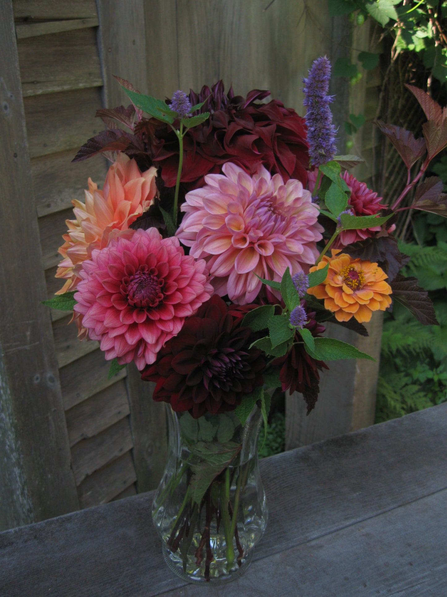 5 dahlia cut flower bouquet - vendor's choice color - unless specified