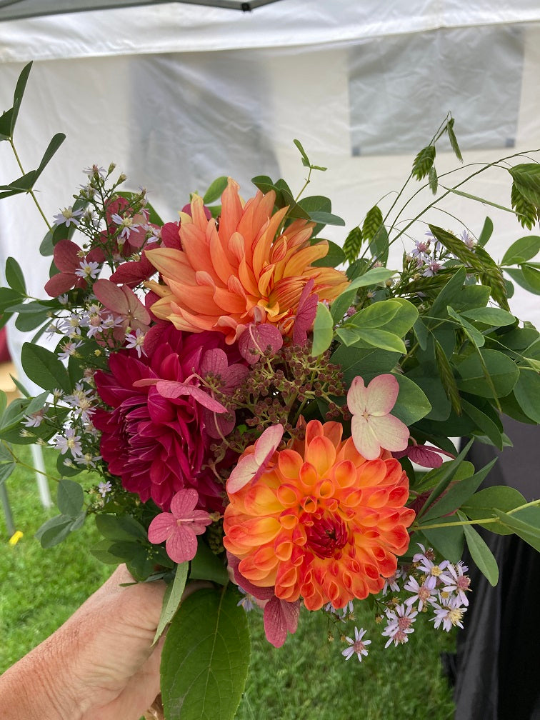 3 dahlia cut flower bouquet - vendor's choice color - unless specified